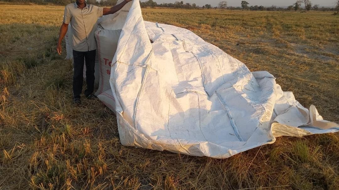 A farmer with harvested produce in the field