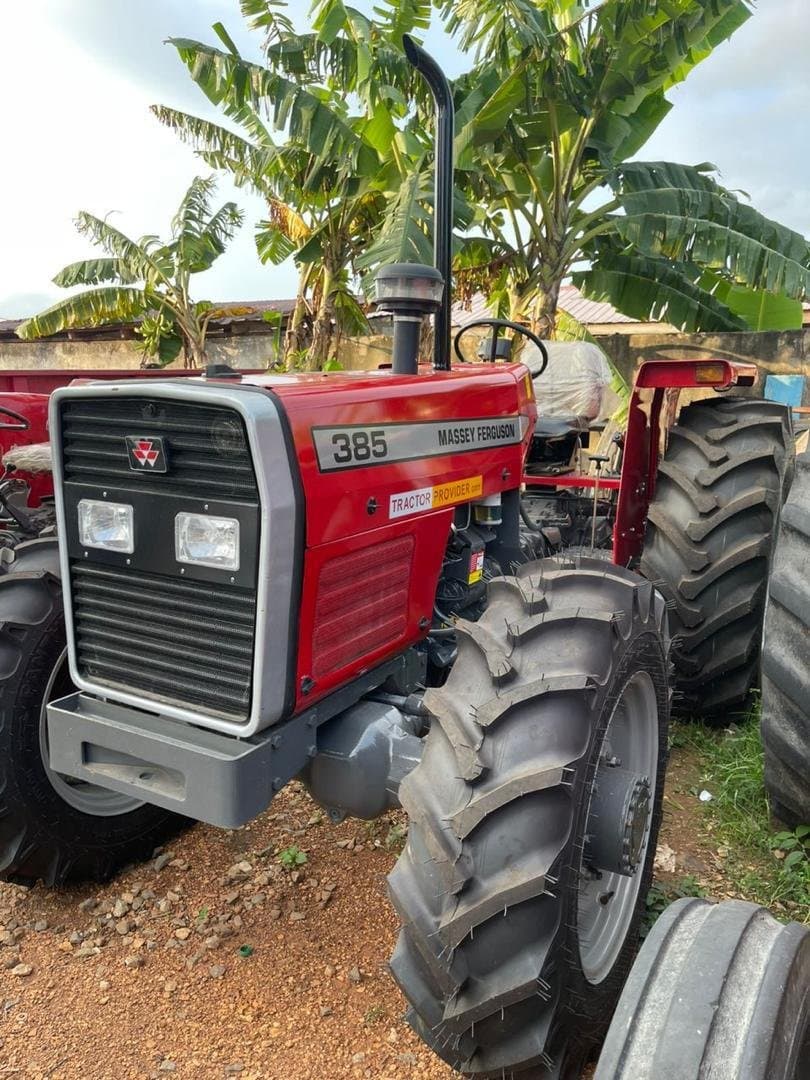 Massey Ferguson 385 tractor parked in a banana grove yard